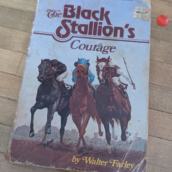The Black Stallion Book Collection - Picture 5 of 14
